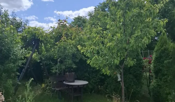 Działka rod Nowa Wieś Malborska