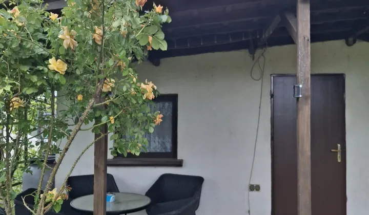 Działka rod Gniezno Winiary, ul. Biskupińska