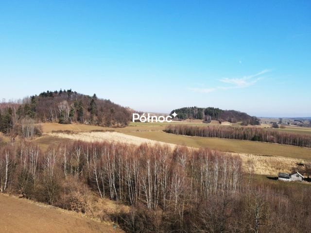 Działka rolno-budowlana Strzegowa. Zdjęcie 3