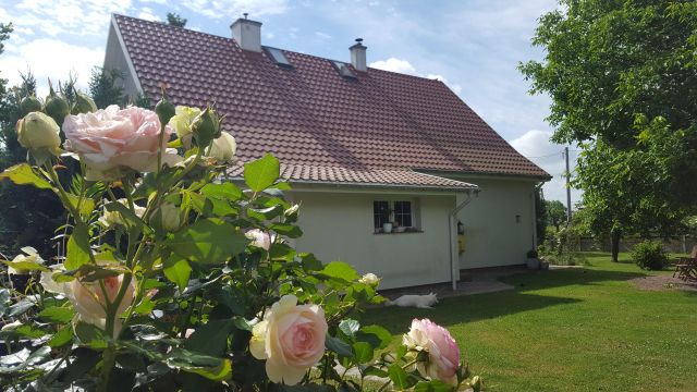 siedlisko, 6 pokoi Korzystno, ul. Szeroka. Zdjęcie 1