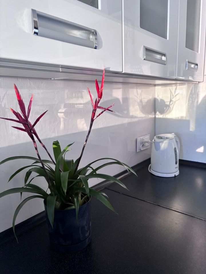 Mieszkanie 2-pokojowe Płock Skarpa, ul. Juliusza Słowackiego. Zdjęcie 16