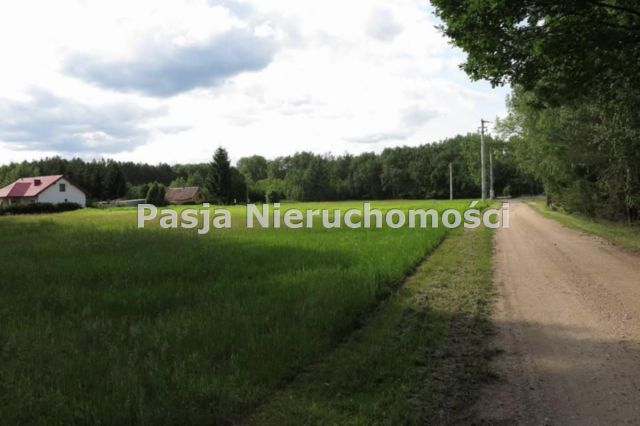 Działka Kamion. Zdjęcie 6