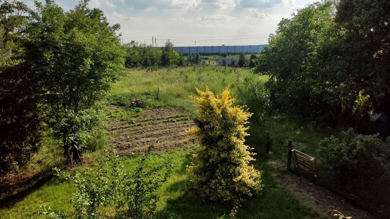 Działka budowlana Wrocław Lipa Piotrowska, ul. Pełczyńska. Zdjęcie 3