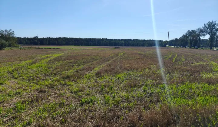 Działka rolno-budowlana Kossobudy