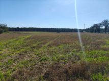 Działka rolno-budowlana Kossobudy