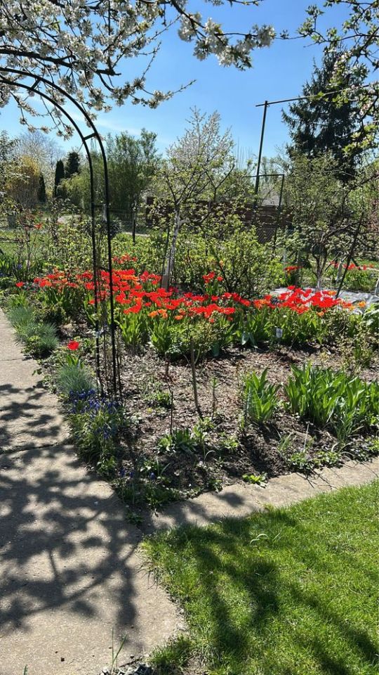 Działka rod Wrocław Stare Miasto. Zdjęcie 3