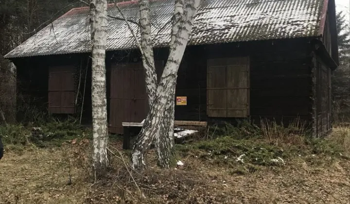 Działka leśna Mniszek