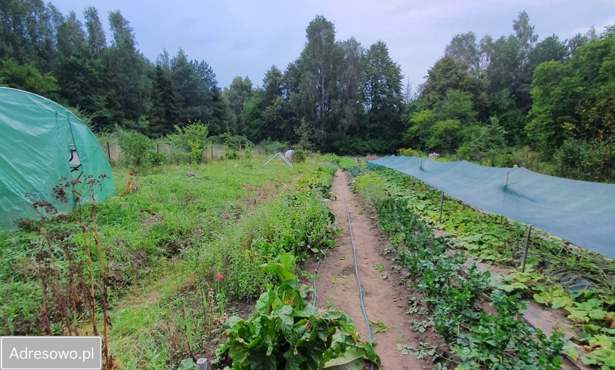 dom wolnostojący, 5 pokoi Bychowo. Zdjęcie 6