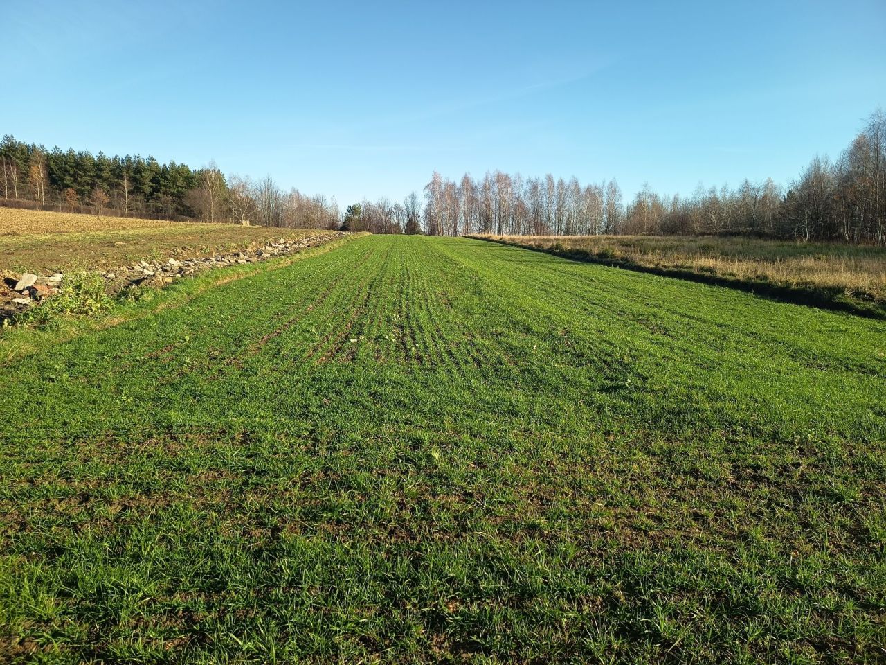 Działka budowlana Ostrów. Zdjęcie 5