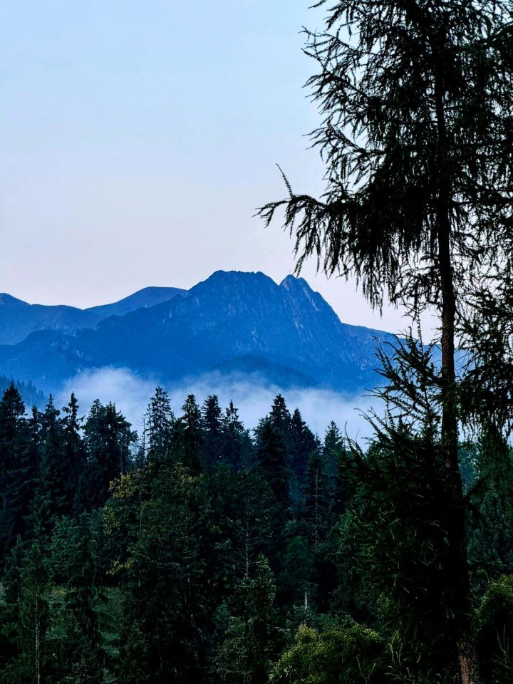 bliźniak, 4 pokoje Zakopane, ul. Hrube Wyżne. Zdjęcie 13