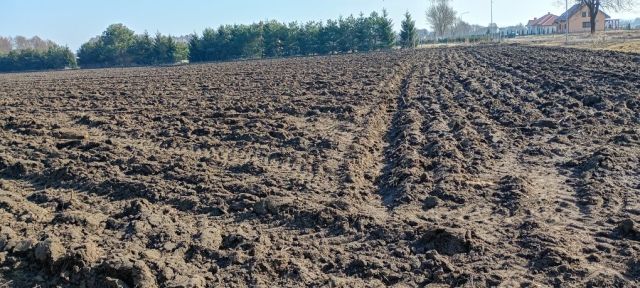 Działka siedliskowa Stary Toruń, ul. Cedrowa. Zdjęcie 1