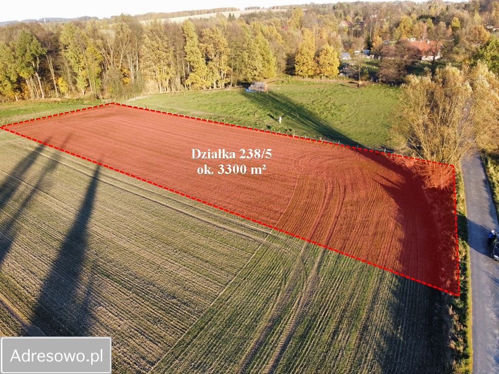Działka rolna Młyńsko. Zdjęcie 1