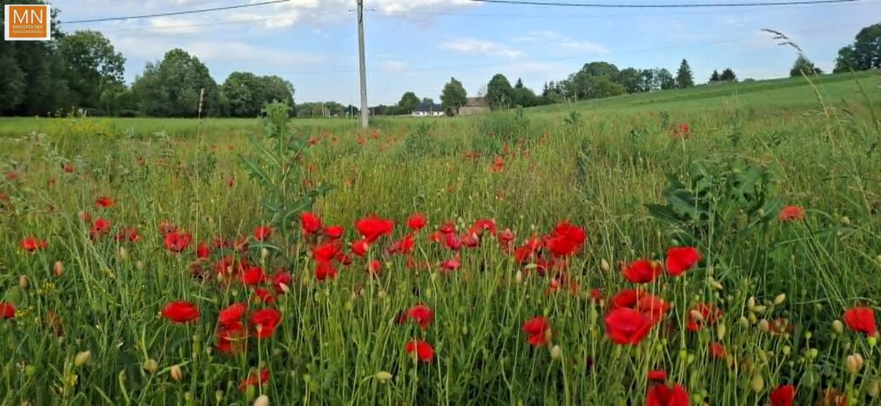 Działka budowlana Marszowice. Zdjęcie 6