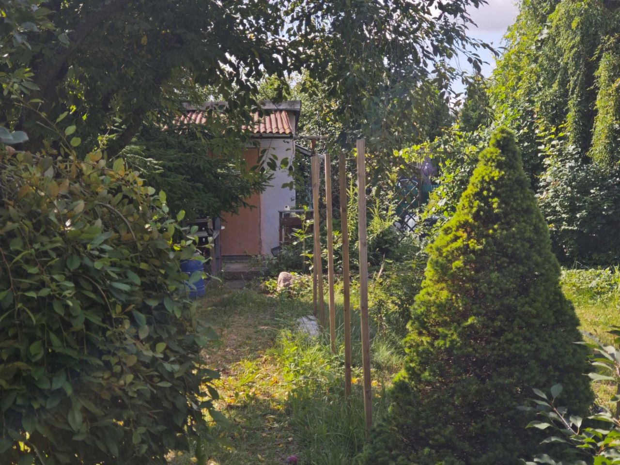 Działka rod Tczew, ul. Ceglarska. Zdjęcie 2