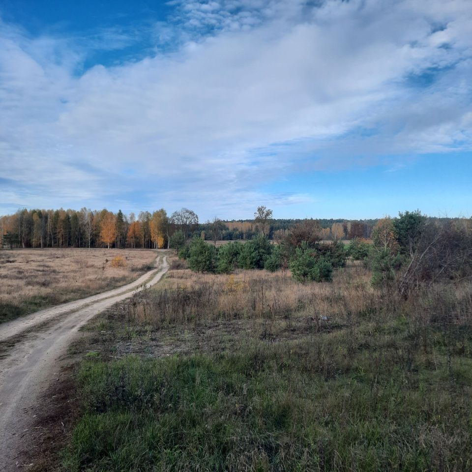 Działka budowlana Lewiczyn