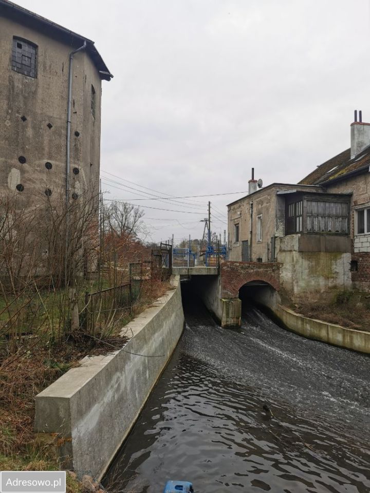 Nieruchomość komercyjna Chojna, ul. Krupin. Zdjęcie 4