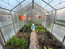 Działka rod Gdańsk Rębiechowo, ul. Nowatorów. Zdjęcie 2