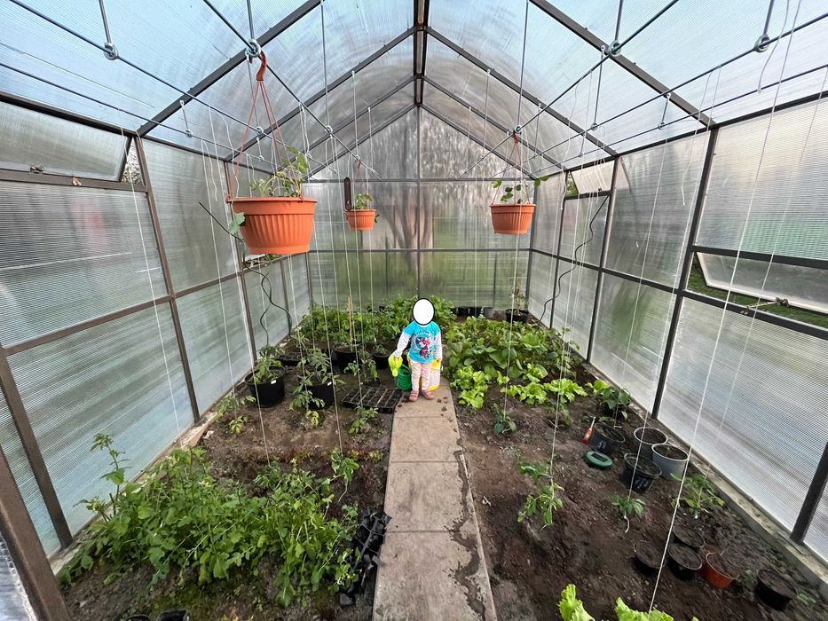 Działka rod Gdańsk Rębiechowo, ul. Nowatorów. Zdjęcie 3