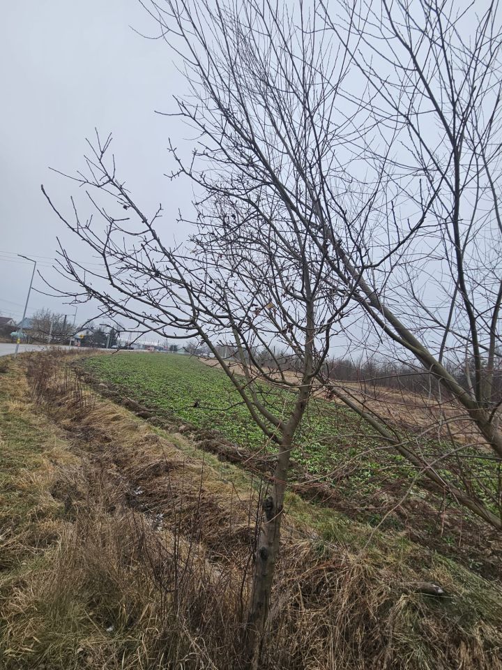 Działka inwestycyjna Mielec Rzochów, ul. Kolejowa. Zdjęcie 7