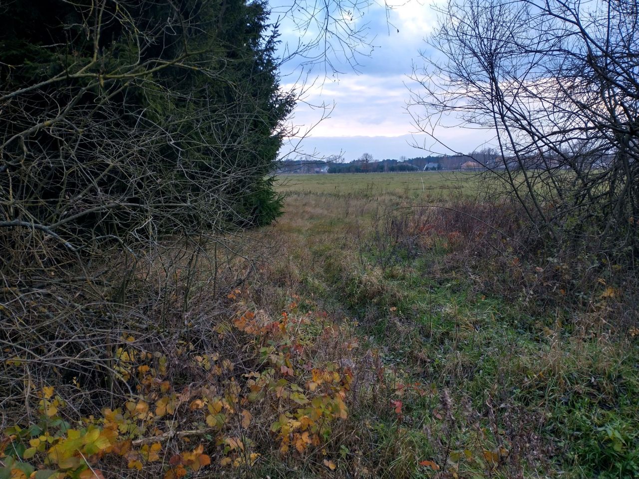 Działka rolna Ługi. Zdjęcie 7