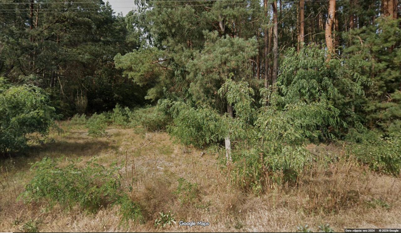Działka siedliskowa Jelenie. Zdjęcie 2