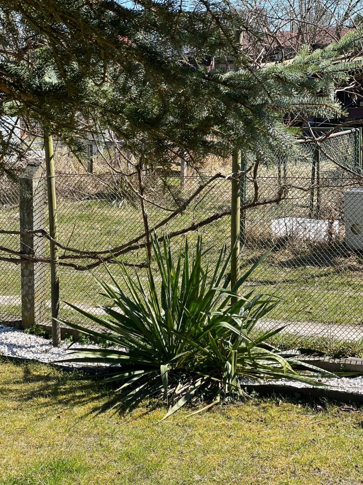 Działka rod Szczecin, ul. Szosa Polska. Zdjęcie 43