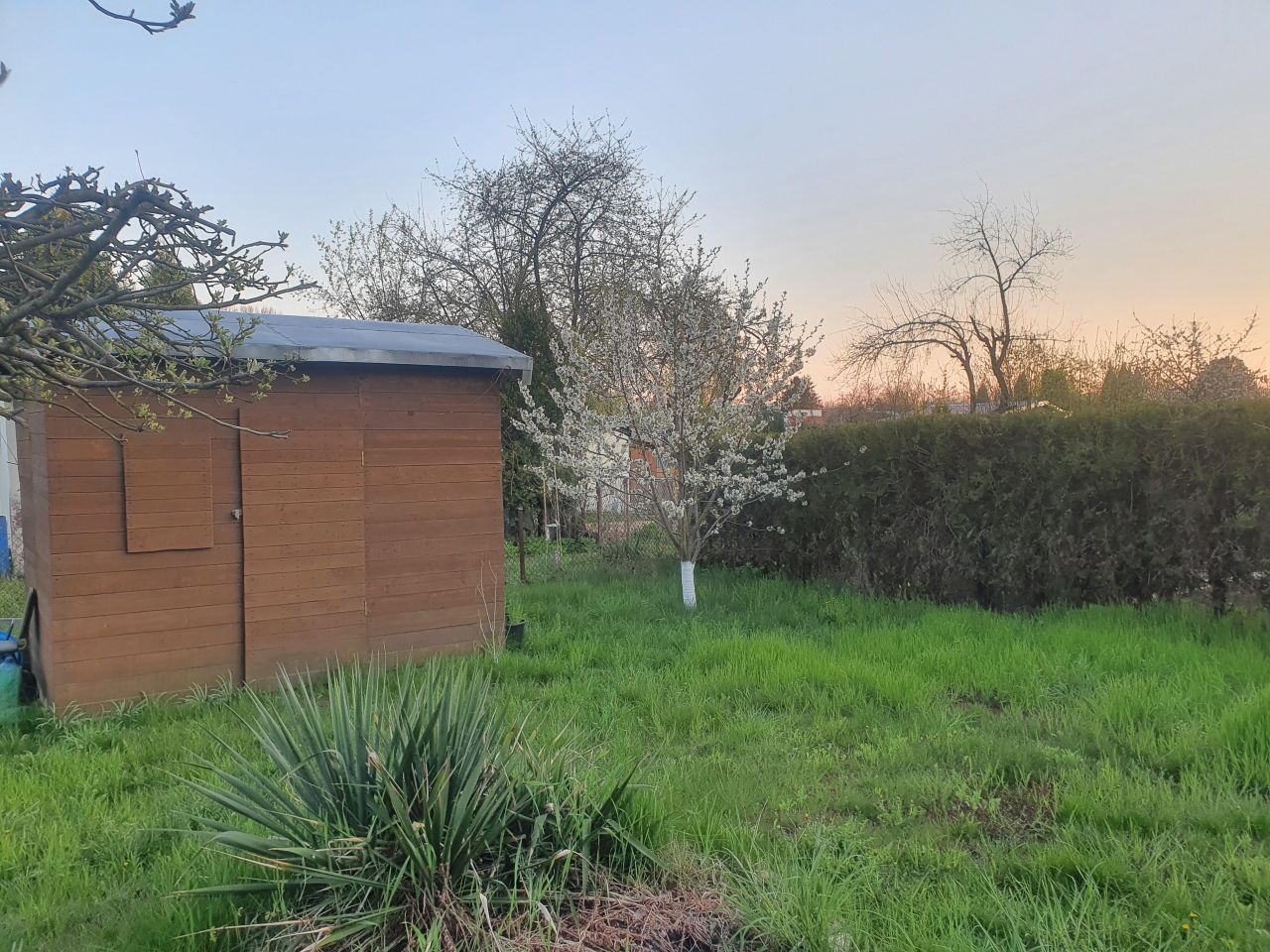 Działka rekreacyjna Opole Zaodrze, ul. Feliksa Nowowiejskiego