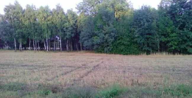 Działka budowlana Jaworek. Zdjęcie 2