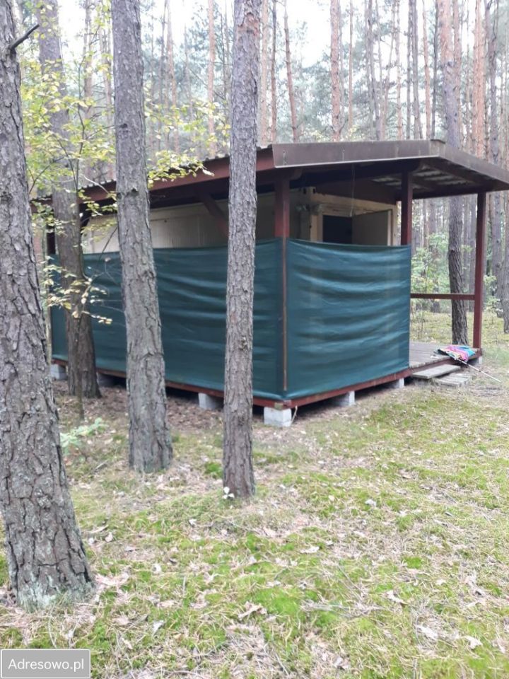 Działka leśna Cyganówka. Zdjęcie 7