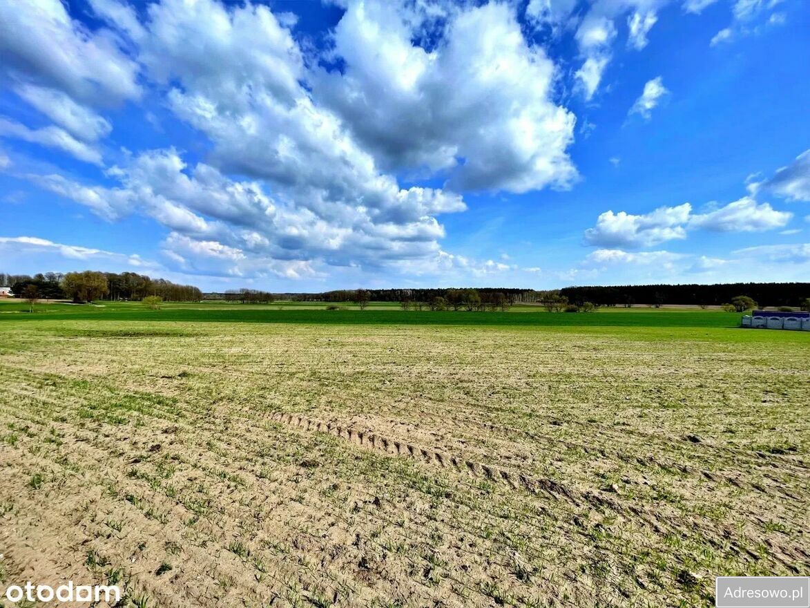 Działka budowlana Siedleczek. Zdjęcie 2