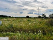 Działka budowlana Szynkielew. Zdjęcie 4
