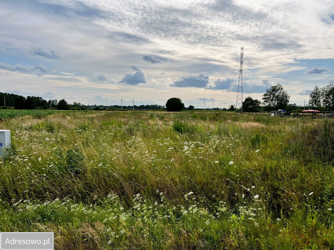 Działka budowlana Szynkielew. Zdjęcie 5