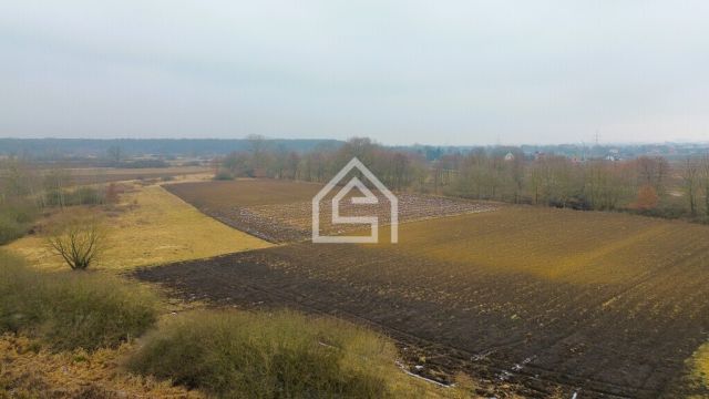 Działka rolna Grobla. Zdjęcie 2