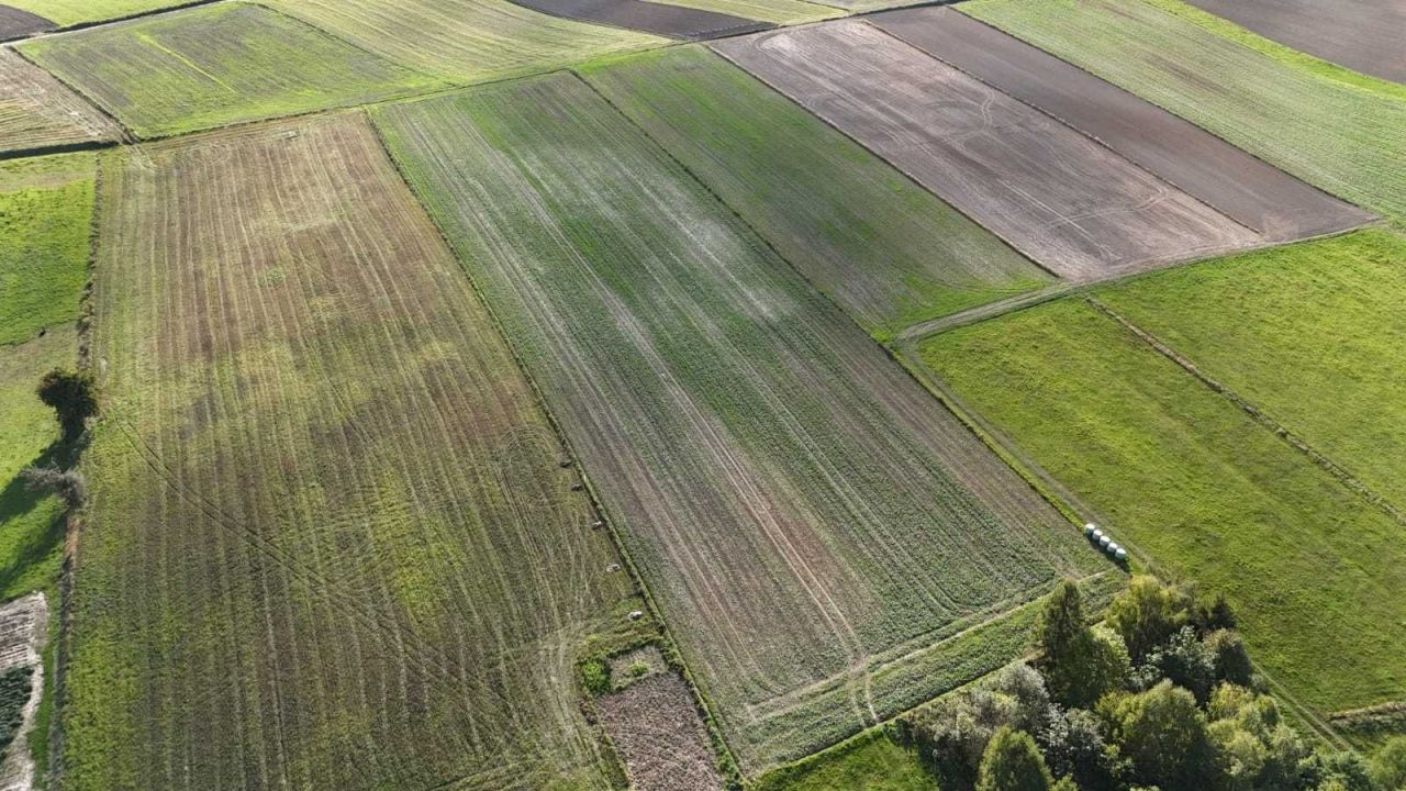 Działka rolno-budowlana Minoga. Zdjęcie 6