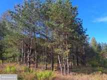 Działka budowlana Białystok Bagnówka, ul. Łucji Prus. Zdjęcie 3