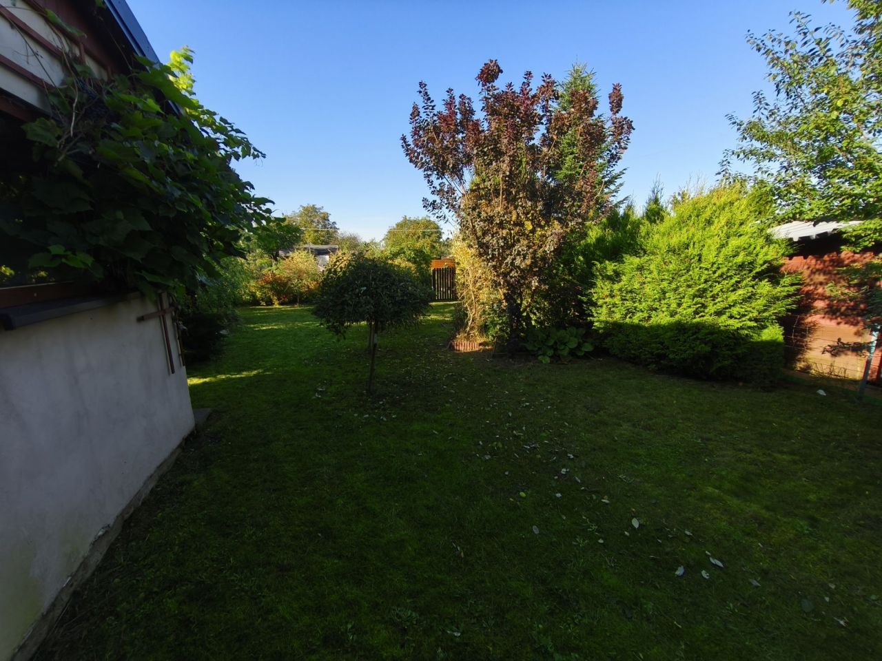 Działka rod Markowizna. Zdjęcie 6