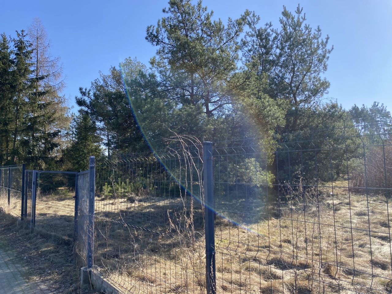 Działka budowlana Kaliska. Zdjęcie 3