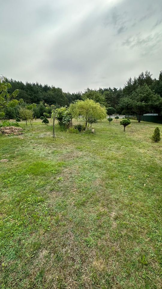 Działka budowlana Świerczyna. Zdjęcie 12