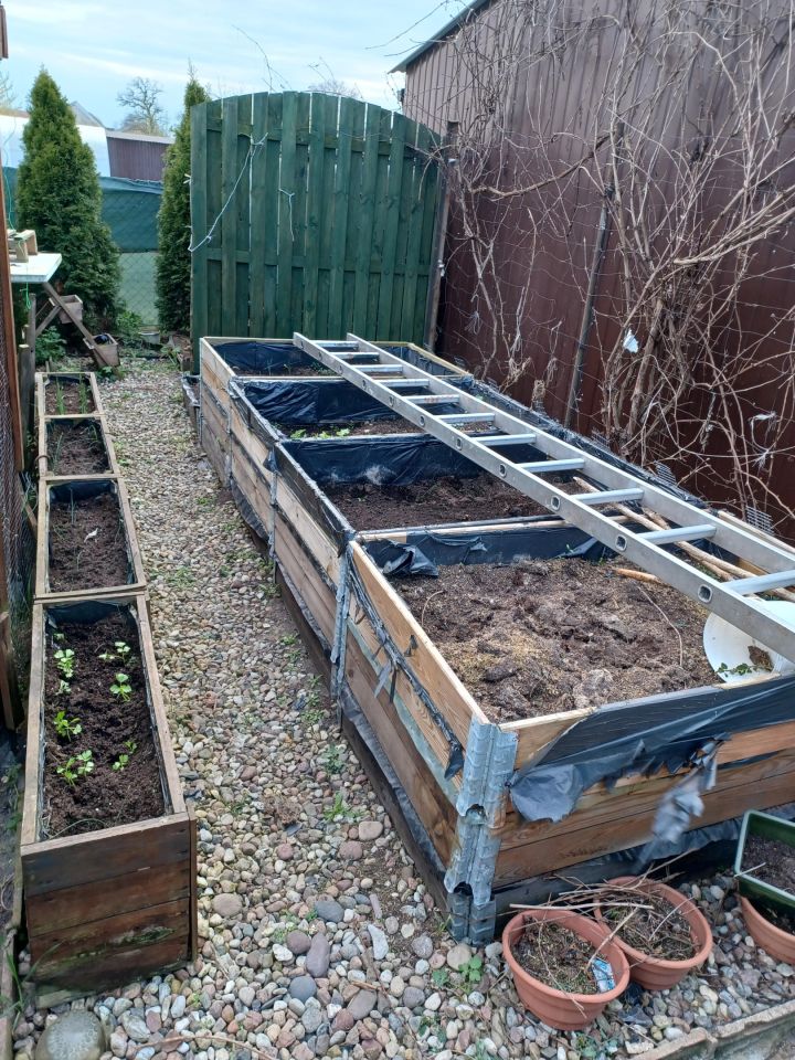 bliźniak, 2 pokoje Pęckowo, ul. Noja. Zdjęcie 14