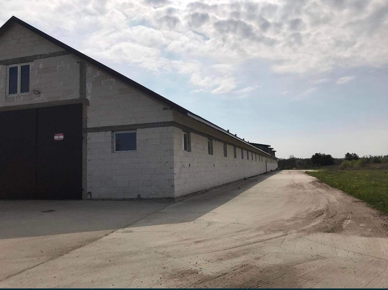 Hala/magazyn Kuczyn. Zdjęcie 2