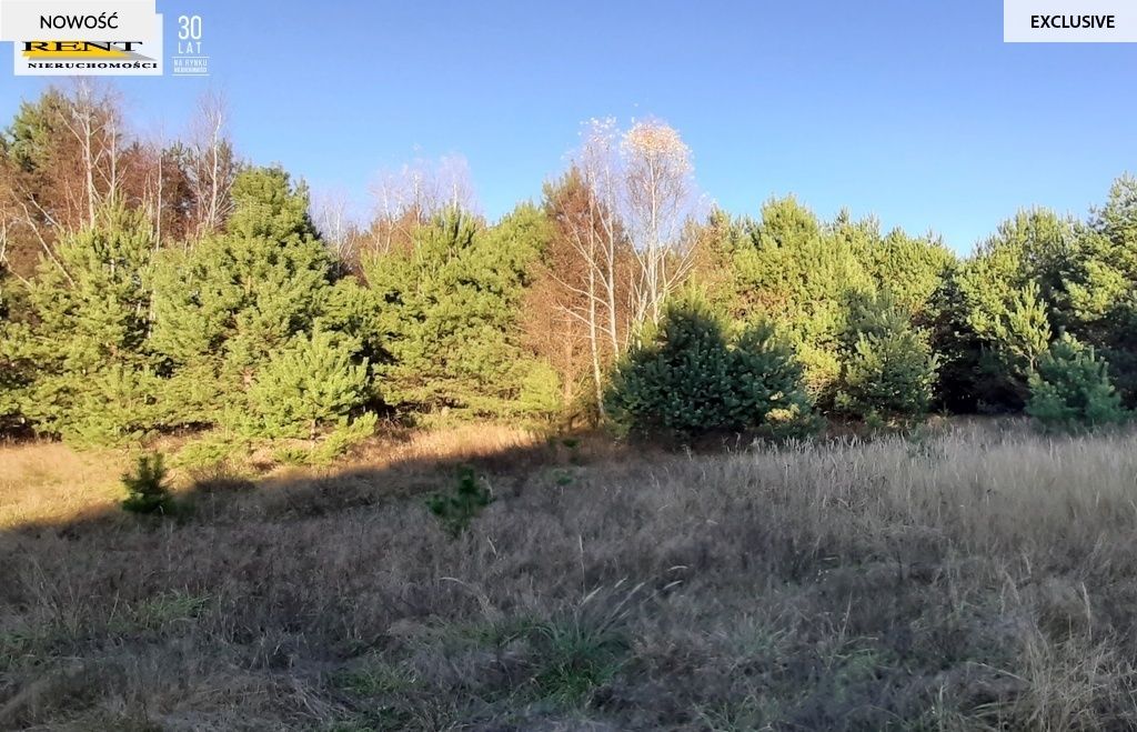 Działka rekreacyjna Krzywnica. Zdjęcie 9