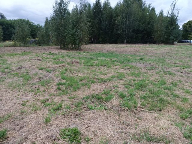 Działka budowlana Osolin, ul. Zielona. Zdjęcie 1