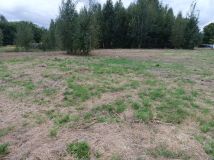 Działka budowlana Osolin, ul. Zielona