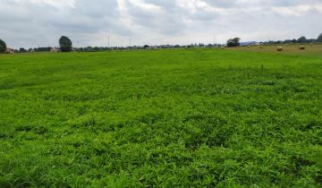 Działka inna Radzymin, ul. Leśna