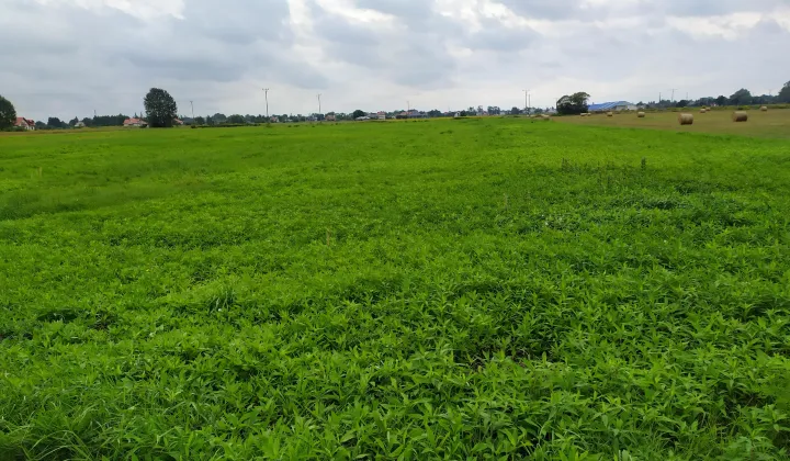 Działka inna Radzymin, ul. Leśna