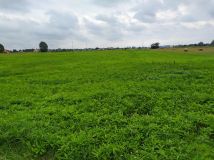 Działka inna Radzymin, ul. Leśna