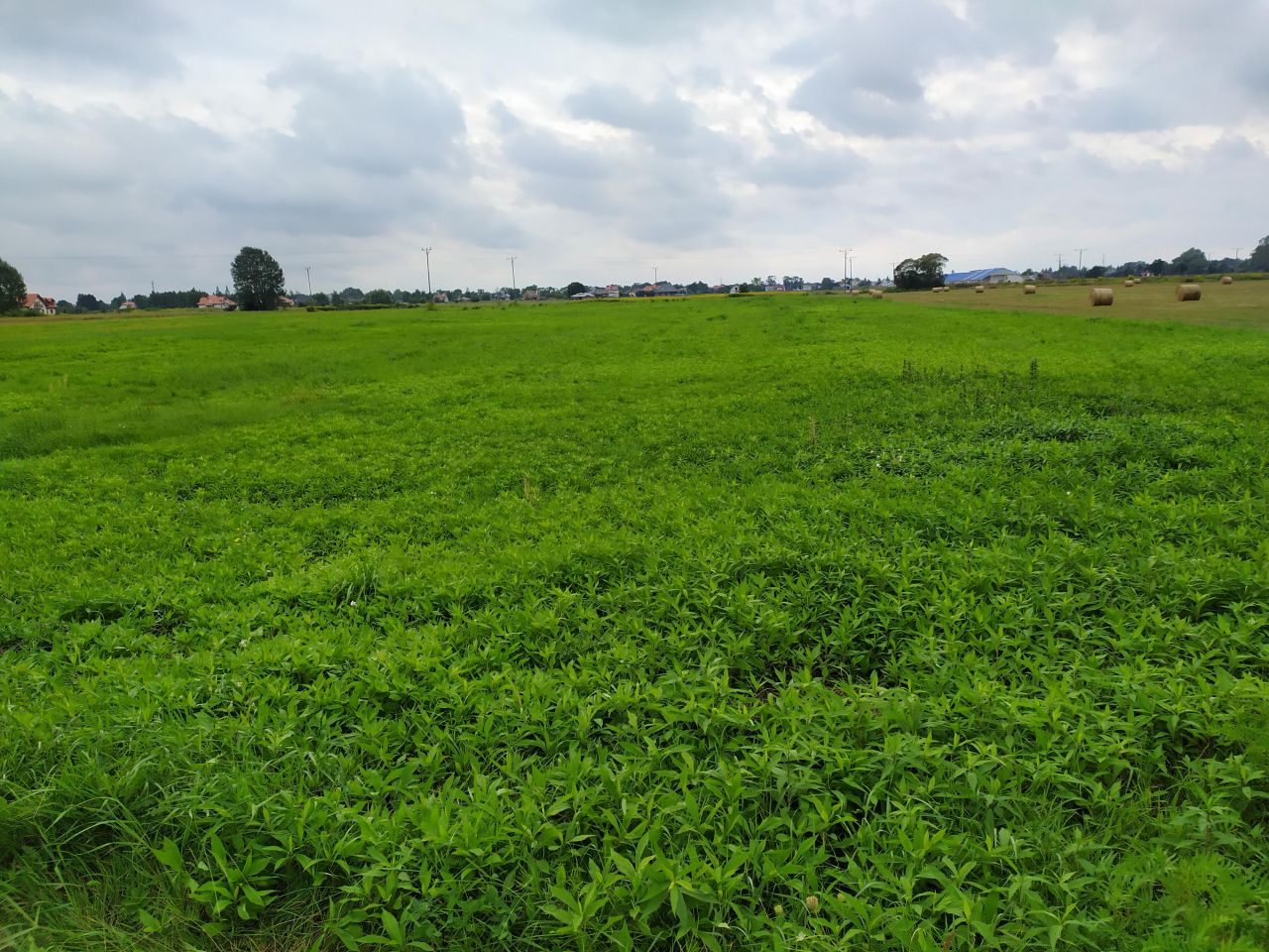 Działka inna Radzymin, ul. Leśna