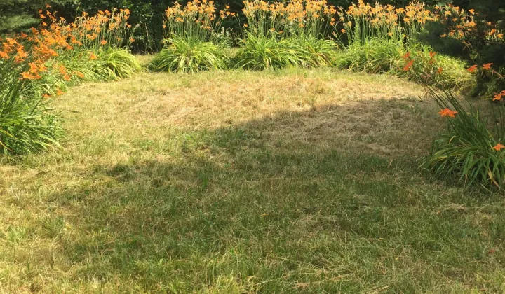 Działka rod Warszawa Włochy, ul. Wykusz