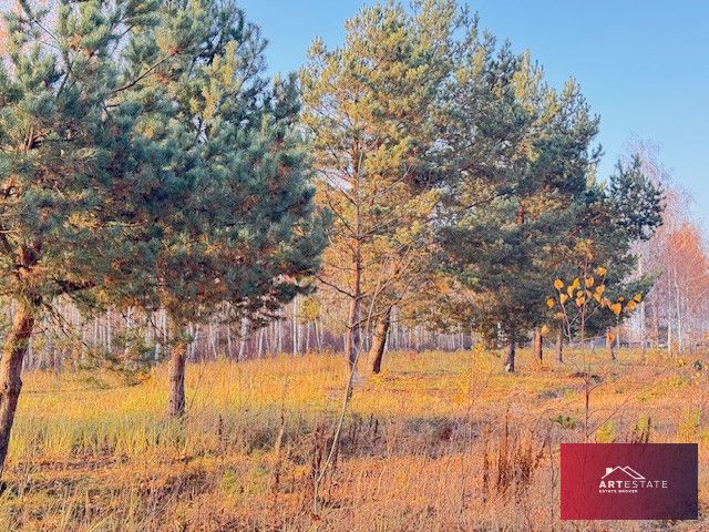 Działka budowlana Nowomłyny. Zdjęcie 10