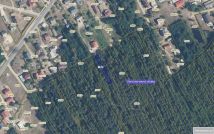 Działka leśna Giedlarowa. Zdjęcie 2